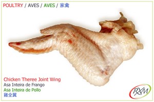 aves,05,three joint wing, asa inteira